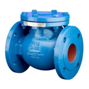 Check Valve